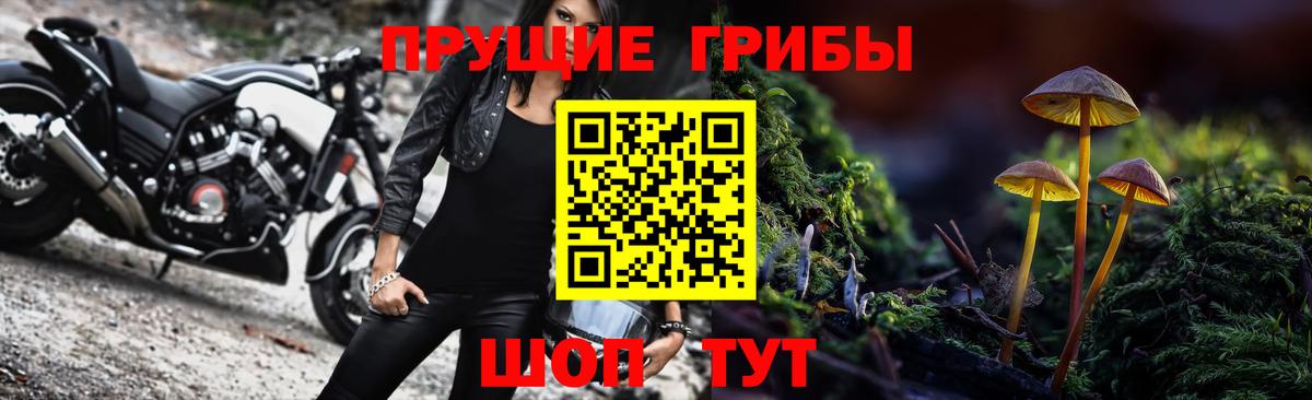 Псилоцибиновые грибы Psilocybine cubensis Фурманов